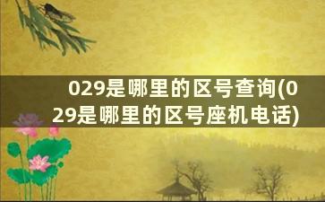 029是哪里的区号查询(029是哪里的区号座机电话)