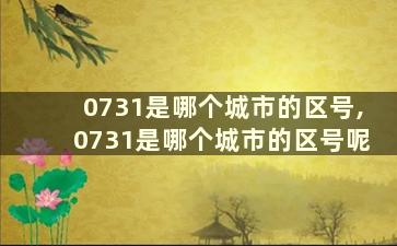 0731是哪个城市的区号,0731是哪个城市的区号呢