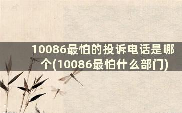 10086最怕的投诉电话是哪个(10086最怕什么部门)