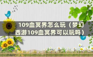 109血冥界怎么玩（梦幻西游109血冥界可以玩吗）