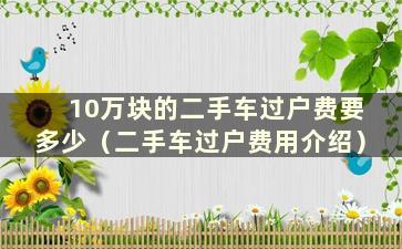 10万块的二手车过户费要多少（二手车过户费用介绍）