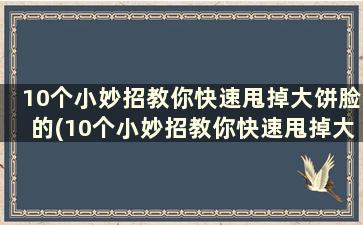 10个小妙招教你快速甩掉大饼脸的(10个小妙招教你快速甩掉大饼脸上的油)