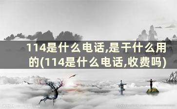 114是什么电话,是干什么用的(114是什么电话,收费吗)