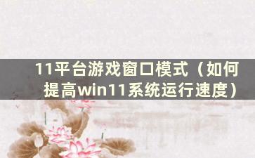 11平台游戏窗口模式（如何提高win11系统运行速度）