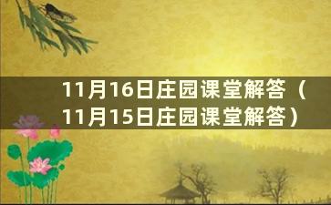 11月16日庄园课堂解答（11月15日庄园课堂解答）