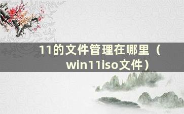 11的文件管理在哪里（win11iso文件）