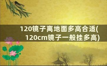 120镜子离地面多高合适(120cm镜子一般挂多高)