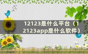 12123是什么平台（12123app是什么软件）