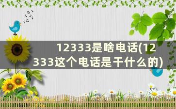 12333是啥电话(12333这个电话是干什么的)