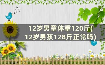 12岁男童体重120斤(12岁男孩128斤正常吗)