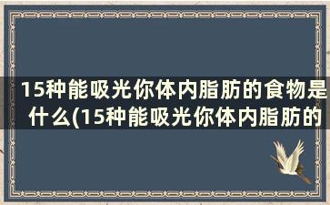 15种能吸光你体内脂肪的食物是什么(15种能吸光你体内脂肪的食物)