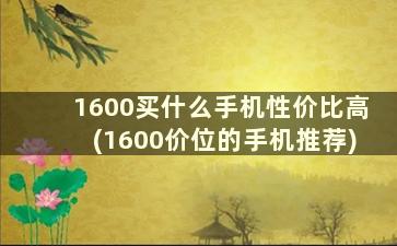 1600买什么手机性价比高(1600价位的手机推荐)