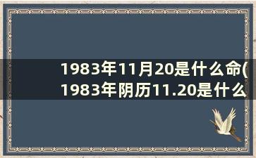 1983年11月20是什么命(1983年阴历11.20是什么星座)