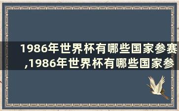 1986年世界杯有哪些国家参赛,1986年世界杯有哪些国家参赛了