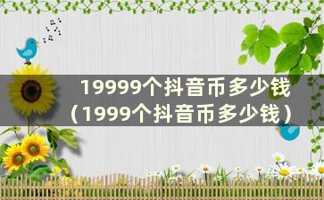 19999个抖音币多少钱（1999个抖音币多少钱）