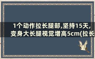 1个动作拉长腿部,坚持15天,变身大长腿视觉增高5cm(拉长腿)