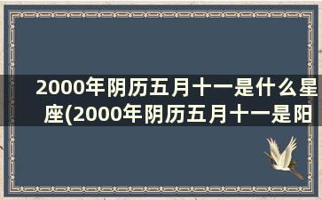 2000年阴历五月十一是什么星座(2000年阴历五月十一是阳历的几号)