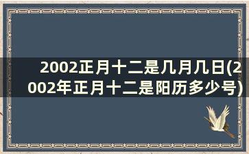 2002正月十二是几月几日(2002年正月十二是阳历多少号)