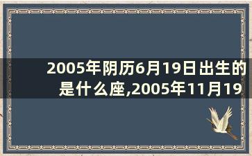 2005年阴历6月19日出生的是什么座,2005年11月19日出生的是什么座