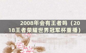 2008年会有王者吗（2018王者荣耀世界冠军杯重播）