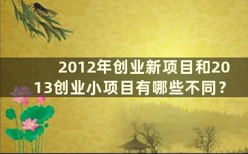 2012年创业新项目和2013创业小项目有哪些不同？