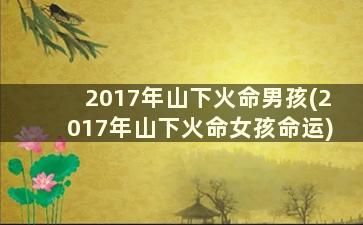 2017年山下火命男孩(2017年山下火命女孩命运)