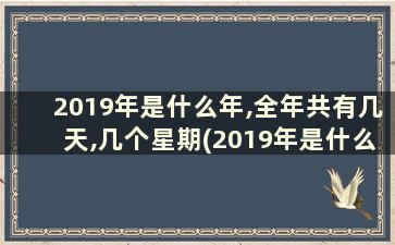 2019年是什么年,全年共有几天,几个星期(2019年是什么年)