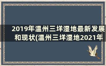 2019年温州三垟湿地最新发展和现状(温州三垟湿地2021年怎么规划)