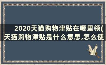 2020天猫购物津贴在哪里领(天猫购物津贴是什么意思,怎么使用)