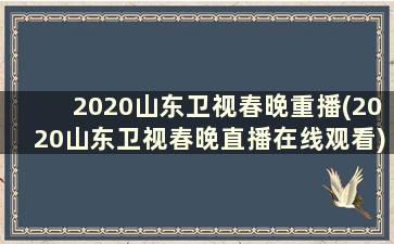 2020山东卫视春晚重播(2020山东卫视春晚直播在线观看)