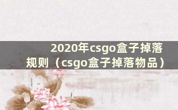 2020年csgo盒子掉落规则（csgo盒子掉落物品）