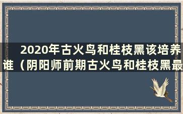 2020年古火鸟和桂枝黑该培养谁（阴阳师前期古火鸟和桂枝黑最先培养谁）