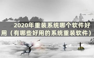 2020年重装系统哪个软件好用（有哪些好用的系统重装软件）