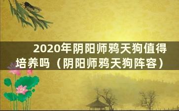 2020年阴阳师鸦天狗值得培养吗（阴阳师鸦天狗阵容）