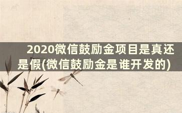 2020微信鼓励金项目是真还是假(微信鼓励金是谁开发的)