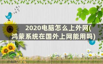 2020电脑怎么上外网(鸿蒙系统在国外上网能用吗)