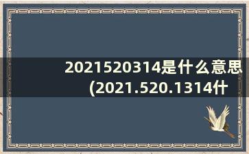 2021520314是什么意思(2021.520.1314什么意思)