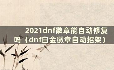 2021dnf徽章能自动修复吗（dnf白金徽章自动招架）