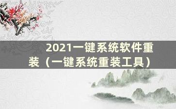 2021一键系统软件重装（一键系统重装工具）