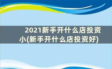 2021新手开什么店投资小(新手开什么店投资好)