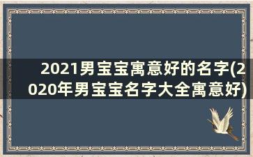 2021男宝宝寓意好的名字(2020年男宝宝名字大全寓意好)