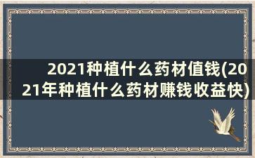 2021种植什么药材值钱(2021年种植什么药材赚钱收益快)