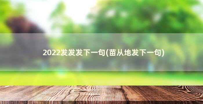 2022发发发下一句(苗从地发下一句)