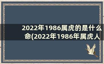 2022年1986属虎的是什么命(2022年1986年属虎人命运)