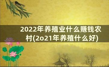 2022年养殖业什么赚钱农村(2o21年养殖什么好)