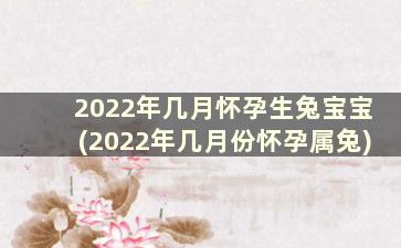 2022年几月怀孕生兔宝宝(2022年几月份怀孕属兔)