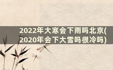 2022年大寒会下雨吗北京(2020年会下大雪吗很冷吗)