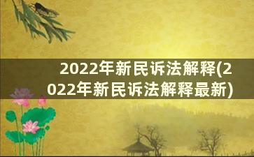 2022年新民诉法解释(2022年新民诉法解释最新)