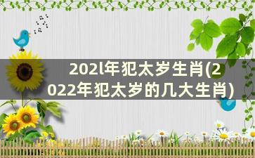 202l年犯太岁生肖(2022年犯太岁的几大生肖)