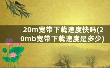 20m宽带下载速度快吗(20mb宽带下载速度是多少)